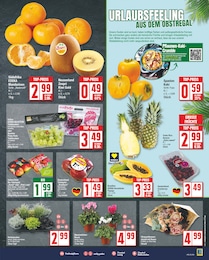 Deko-Blumen Angebot im aktuellen EDEKA Prospekt auf Seite 3