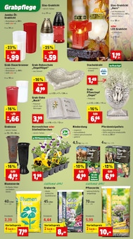 Blumenerde im Thomas Philipps Prospekt "Top Angebote" mit 18 Seiten (Göttingen)