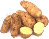 Speisekartoffeln roterdig Angebote bei REWE Castrop-Rauxel für 1,59 €