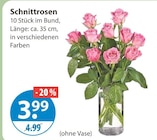 Schnittrosen Angebote bei V-Markt Kaufbeuren für 3,99 €