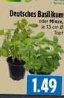 Deutsches Basilikum bei EDEKA im Wettenberg Prospekt für 1,49 €