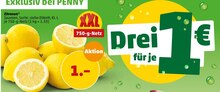 Zitronen Angebot in Hambrücken im aktuellen Prospekt bei Penny-Markt in Hambrücken