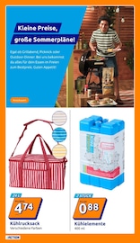 Kühlbox im Action Prospekt in Weiden Aktueller Action Prospekt mit Kühlbox, "Wochenangebote", Seite 34