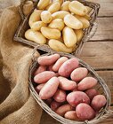 Pommes de terre de consommation à chair ferme nouvelle récolte - INTERMARCHÉ TERROIRS en promo chez Intermarché Contact Bourg-en-Bresse à 2,19 €