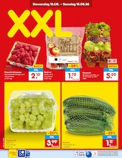 Zimmerpflanzen im Netto Marken-Discount Prospekt in Düsseldorf Aktueller Netto Marken-Discount Prospekt mit Zimmerpflanzen, "Aktuelle Angebote", Seite 3