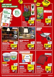 Lampe im Hagebaumarkt Prospekt in Rostock Aktueller Hagebaumarkt Prospekt mit Lampe, "SCHNAPP DIR DIE SUPER DEALS", Seite 2