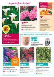 Offre Rhododendron dans le catalogue Delbard du moment à la page 2