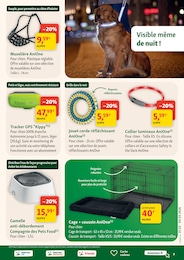 Offre Sport dans le catalogue Maxi Zoo du moment à la page 9