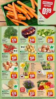 Tomaten im REWE Prospekt "Dein Markt" mit 32 Seiten (Heidelberg)