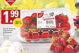 WEZ Porta Westfalica - Griechische Erdbeeren Angebot im Prospekt Griechische Erdbeeren bei WEZ im Porta Westfalica Prospekt für 1,99 €