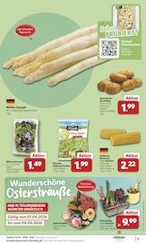 Spargel im combi Prospekt in Hannover Aktueller combi Prospekt mit Spargel, "Markt - Angebote", Seite 3