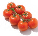 Aktuelle Tomaten Angebote bei Netto mit dem Scottie in Halle (Saale) Aktuelles Cocktail Rispentomaten Angebot bei Netto mit dem Scottie in Halle (Saale) ab 1,79 €