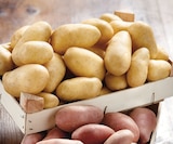 Promo Pommes de terre de consommation à chair ferme à 1,69 € dans le catalogue Intermarché Express à Saint-Maur-des-Fossés