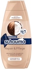 Shampoo von Schauma für 2,75 € bei Penny im Angebot Shampoo von Schauma im aktuellen Penny Prospekt