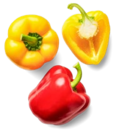 Aktuelle Paprika Angebote bei Kaufland in Salzgitter Aktuelles Span. Bio-Paprika, rot und gelb Angebot bei Kaufland in Salzgitter ab 1,99 €
