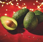 Avocats mûrs à point - HALLS en promo chez Colruyt Avocats mûrs à point - HALLS dans le catalogue Colruyt