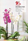 Orchidée 3 tiges rose - Super U à Amiens Orchidée 3 tiges rose en promo chez Super U Amiens à 9,99 €