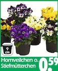 Hornveilchen o. Stiefmütterchen Angebote bei Wreesmann Norderstedt für 0,59 €