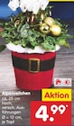 Aktuelle Zimmerpflanzen Angebote bei Netto Marken-Discount in Mannheim Aktuelles Alpenveilchen Angebot bei Netto Marken-Discount in Mannheim ab 4,99 €