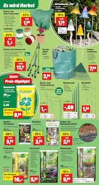 Werkzeug Angebot & Preis im aktuellen Thomas Philipps Prospekt Werkzeug Angebot im aktuellen Thomas Philipps Prospekt auf Seite 3