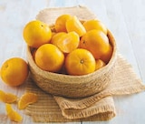 Clémentine en promo chez Super U Clémentine dans le catalogue Super U