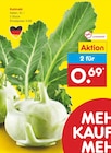 Kohlrabi im Netto Marken-Discount Prospekt Kohlrabi von  im aktuellen Netto Marken-Discount Prospekt für 0,69 €