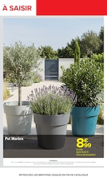 Offre Potée dans le catalogue Carrefour du moment à la page 3