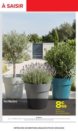 Promos Potée dans le catalogue "JARDIN, LÀ OÙ LA VIE SE CULTIVE" de Carrefour à la page 3 Promos Potée dans le catalogue "JARDIN, LÀ OÙ LA VIE SE CULTIVE" de Carrefour à la page 3