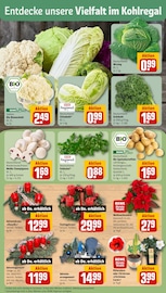 Ähnliche Rankhilfe Angebote im Prospekt "Dein Markt" von REWE in Mainz Ähnliche Angebote wie Rankhilfe im Prospekt "Dein Markt" auf Seite 7 von REWE in Mainz