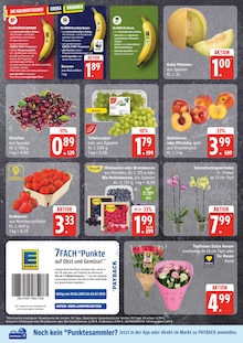 EDEKA Stavenhagen Prospekt der aktuellen Woche, gültig von 30.06.2025 bis 05.07.2025 Aktueller EDEKA Stavenhagen Prospekt "Top Angebote" mit 18 Seiten