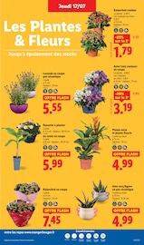Jardinage Angebote im Prospekt "Fan de l'été" von Lidl Jardinage Angebote im Prospekt "Fan de l'été" von Lidl auf Seite 29