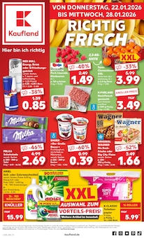 Kaufland Prospekt der KW 4 "Aktuelle Angebote" Aktueller Kaufland Prospekt "Aktuelle Angebote" Seite 1 von 59 Seiten