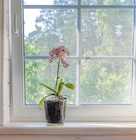 MOUSTIQUAIRE AGRIPPANTE en promo chez Gifi Antony à 0,99 €