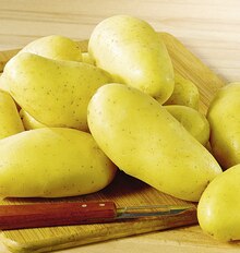Casino Supermarchés Plouvorn - Pomme de Terre de Consommation Agata Promo Pomme de Terre de Consommation Agata dans le catalogue Casino Supermarchés "Le mois Casino Magic !!" à Plouvorn