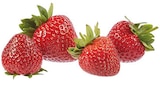 EDEKA Ascheberg - Spanien Erdbeeren Angebot im Prospekt Spanien Erdbeeren bei EDEKA im Ascheberg Prospekt für 1,99 €