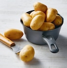 Pomme de terre de consommation lavée en promo chez Super U Mâcon à 3,39 €