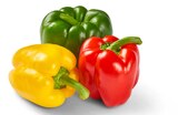 Paprika-Mix Angebote von Marktliebe bei Penny Bottrop für 1,19 €