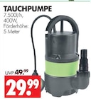 Aktuelles TAUCHPUMPE Angebot bei Wreesmann in Dresden ab 29,99 €
