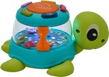Melodienschildkröte  im aktuellen Rossmann Prospekt für 5,99 €