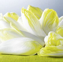 Géant Casino Le Raincy - Endive 5 fruits Promo Endive 5 fruits dans le catalogue Géant Casino "Le mois Casinomania" à Le Raincy