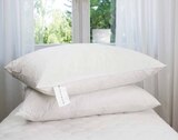 Aktuelle Kopfkissen Angebote bei hofmeister in Stuttgart Aktuelles KOPFKISSEN „ALJONA“ Angebot bei hofmeister in Stuttgart ab 19,99 €