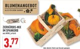 Aktuelles Zierkürbis-Mix im Spankorb Angebot bei Marktkauf in Münster