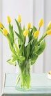 Bouquet de 9 tulipes de glace - U - U Express à Saint-Étienne Bouquet de 9 tulipes de glace - U en promo chez U Express Saint-Étienne à 5,99 €