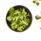 Feldsalat bei ALDI SÜD im Prospekt "" für 0,88 €