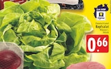 Kopfsalat im aktuellen Prospekt bei EDEKA in Borchen