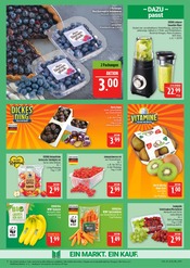 Tiefkühlkost im Marktkauf Prospekt in Altenburg Aktueller Marktkauf Prospekt mit Tiefkühlkost, "AUSWAHL RIESIG, PREISE NIEDRIG", Seite 8