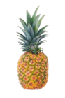 Ananas dans le catalogue Aldi