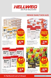 Hellweg Blumenerde im Prospekt Hellweg Blumenerde im Prospekt