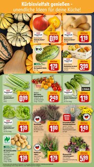 Chrysantheme im REWE Prospekt "Dein Markt" mit 28 Seiten (Köln)