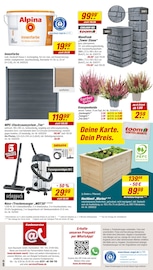 Aktueller toom Baumarkt Prospekt mit Alpina, "Respekt, wer's selber macht.", Seite 14